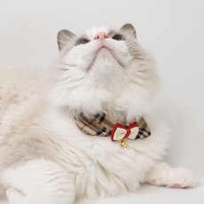 画像2: リボンチャーミー衿付首輪＆鈴付きダブルリボン（ノバチェック）Mサイズ (2)