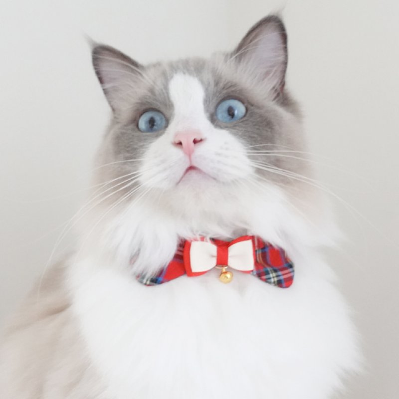 画像2: リボンチャーミー衿付首輪&鈴付きダブルリボン(レッドタータンチェック)Mサイズ