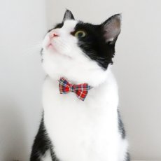 画像5: クラシカル・ミニタータンチェック・リボン首輪（レッド） (5)