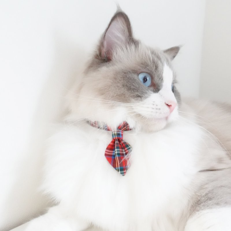 画像2: クラシカル・ミニタータンチェック/ネクタイ首輪(レッド)