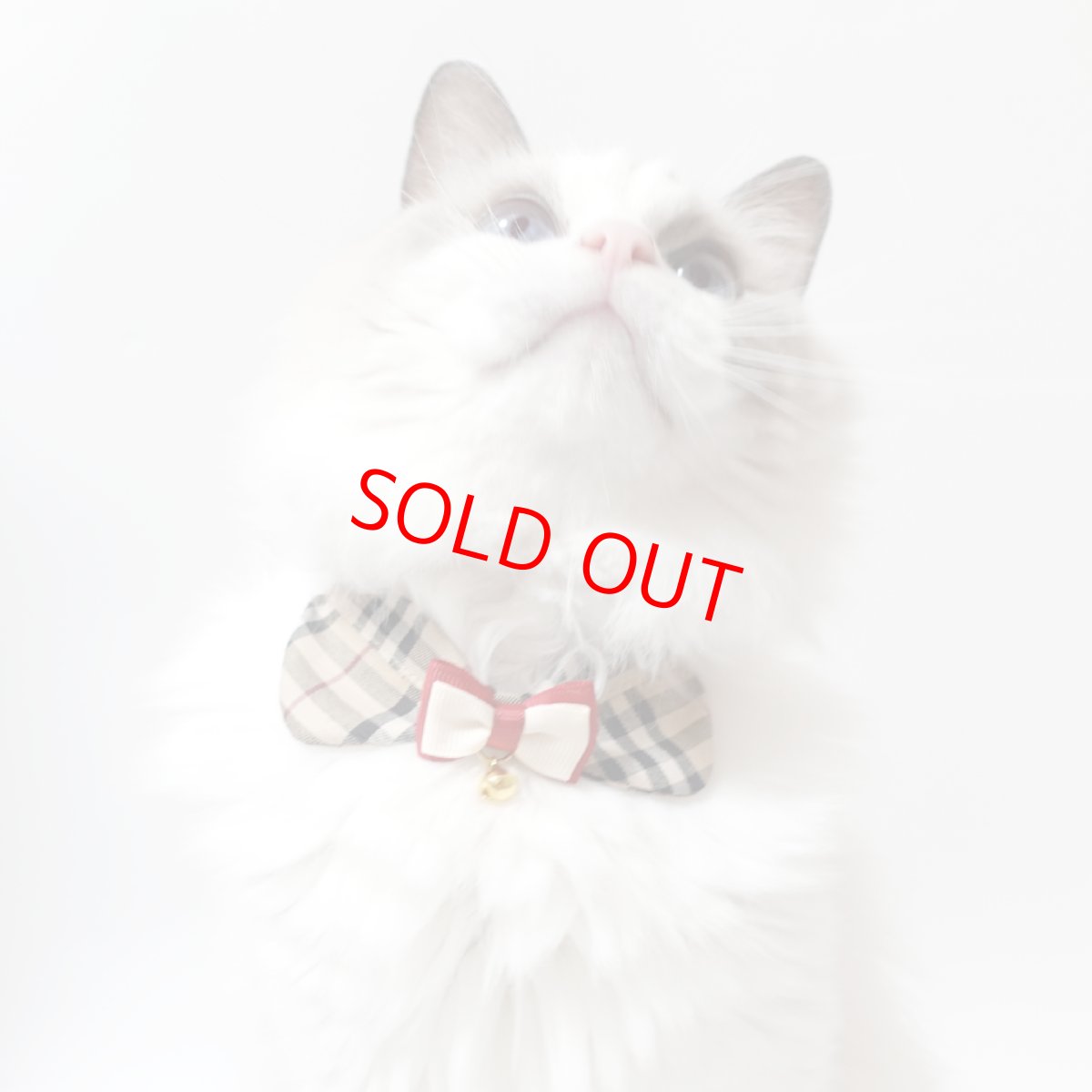 画像3: リボンチャーミー衿付首輪＆鈴付きダブルリボン（ノバチェック）Mサイズ (3)