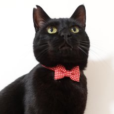 画像5: 《とろける恋心コレクション 〜Red Check & Heart〜》リボンタイプの猫首輪（レッドチェック） (5)