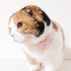 画像4: 《とろける恋心コレクション 〜Red Check & Heart〜》リボンタイプの猫首輪（ピンクハートドット） (4)
