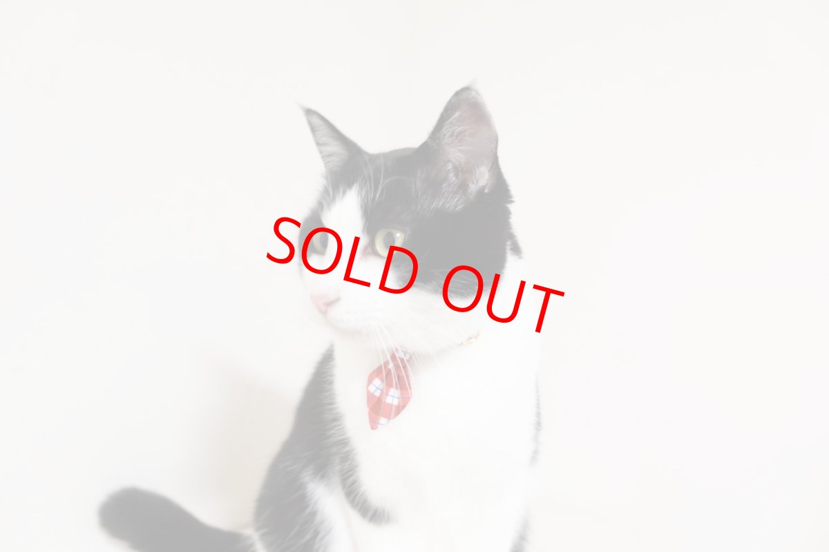 画像4: 《とろける恋心コレクション 〜Red Check & Heart〜》ネクタイ猫首輪（レッドブロックチェック） (4)