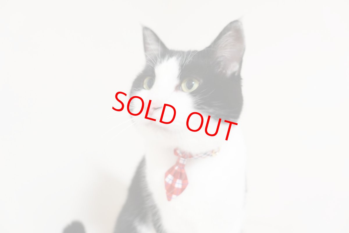 画像3: 《とろける恋心コレクション 〜Red Check & Heart〜》ネクタイ猫首輪（レッドブロックチェック） (3)