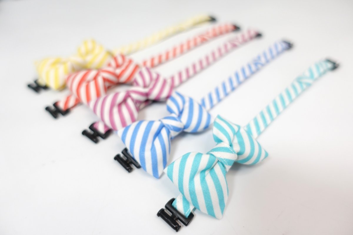 画像7: スイーツみたいに可愛い猫用首輪 ― Nonbillie 夢みるパティシエシリーズ 　第２弾　キャンディポップ　５カラー展開 (7)