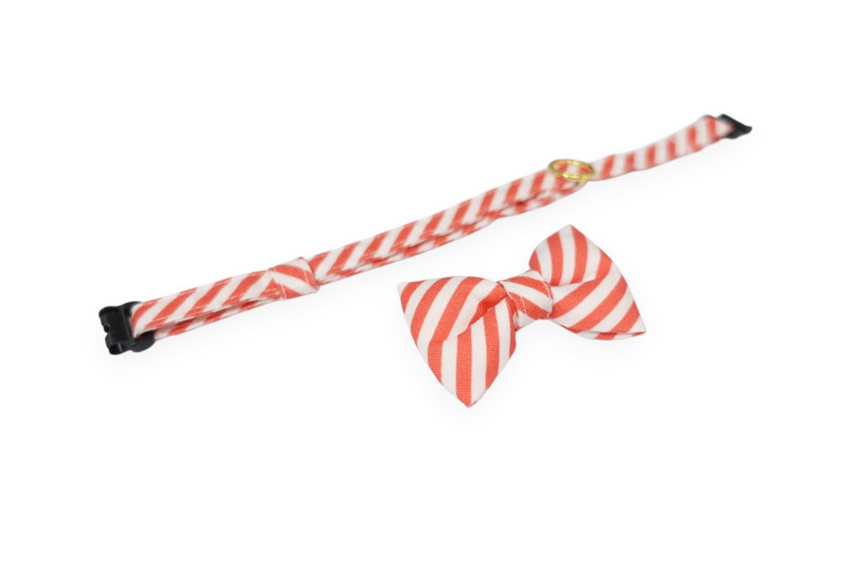 画像8: スイーツみたいに可愛い猫用首輪 ― Nonbillie 夢みるパティシエシリーズ 　第２弾　キャンディポップ　５カラー展開 (8)