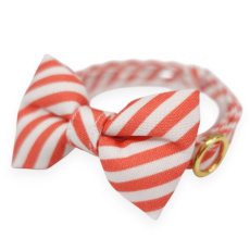 画像5: スイーツみたいに可愛い猫用首輪 ― Nonbillie 夢みるパティシエシリーズ 　第２弾　キャンディポップ　５カラー展開 (5)