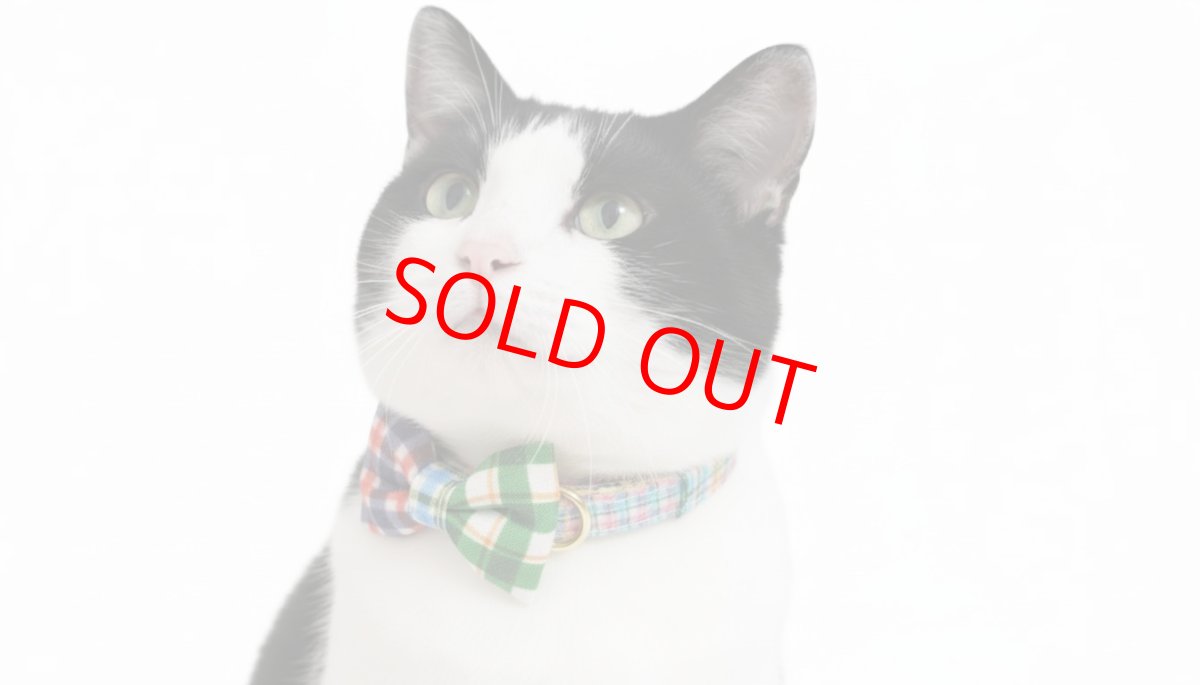 画像4: 世界にひとつの組み合わせ｜左右で柄が異なる パッチワーク風リボン首輪　【限定１点】G柄 (4)