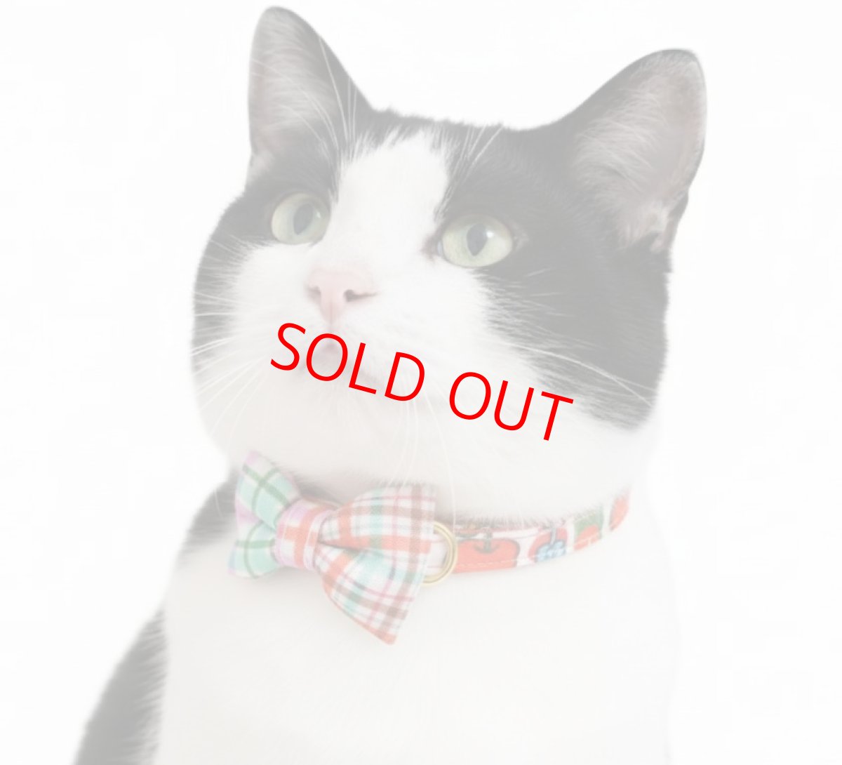 画像3: 世界にひとつの組み合わせ｜レトロリンゴ×手書きチェック 左右で柄が異なるリボン首輪【限定１点】K柄 (3)