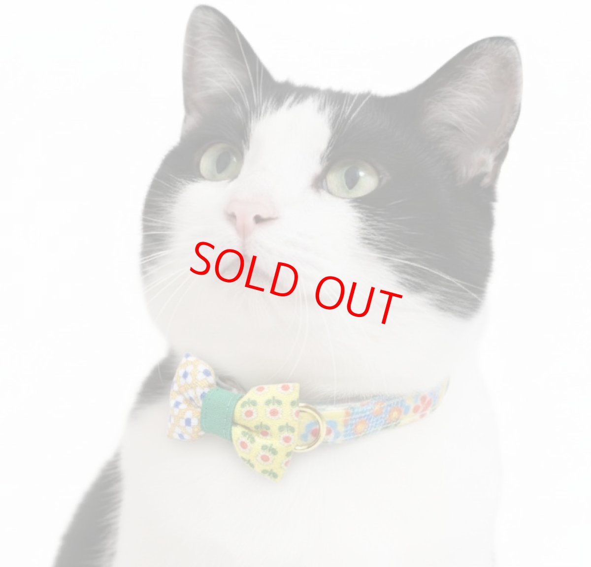 画像3: 懐かしさをまとう 昭和レトロフラワー｜左右で柄が異なるミニリボン首輪  H柄【限定1点】 (3)