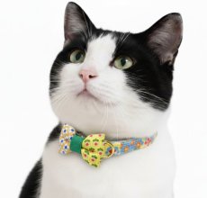 画像3: 懐かしさをまとう 昭和レトロフラワー｜左右で柄が異なるミニリボン首輪  G柄【限定1点】 (3)