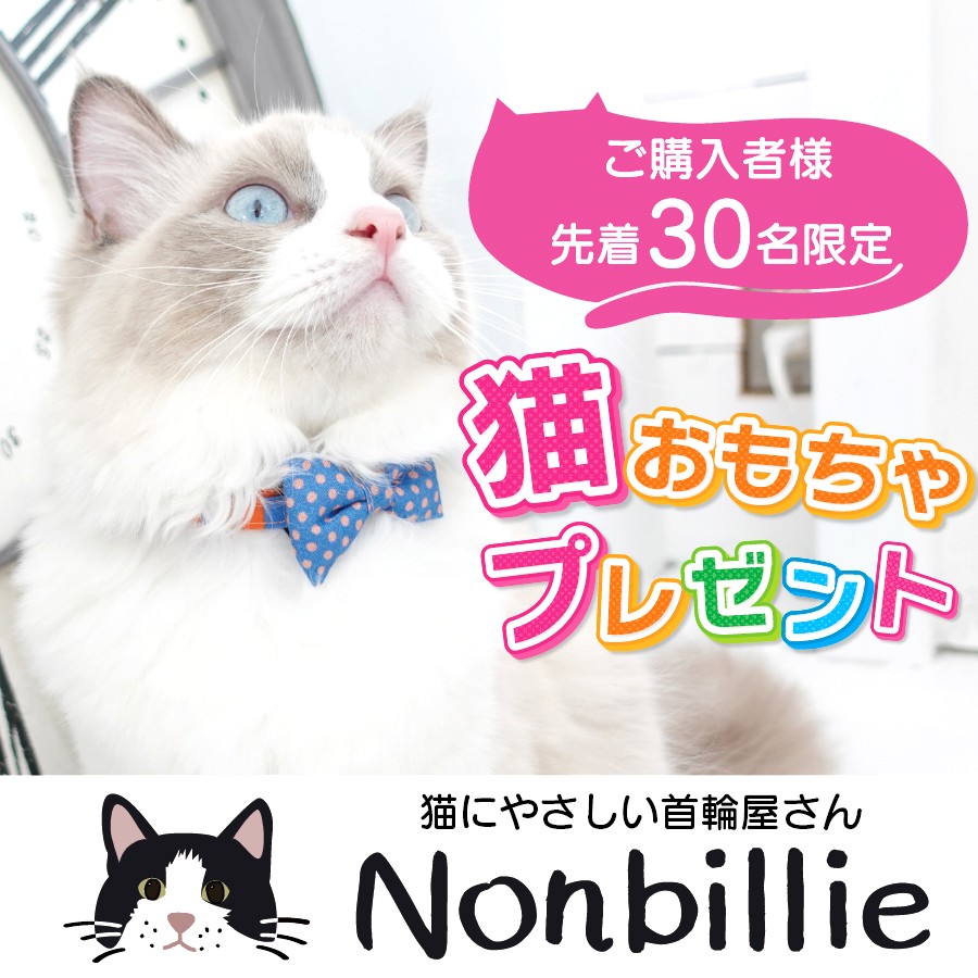 ✨猫好き集合!10/19はニャンフェスで待ってます🐱先着プレゼントも🎁