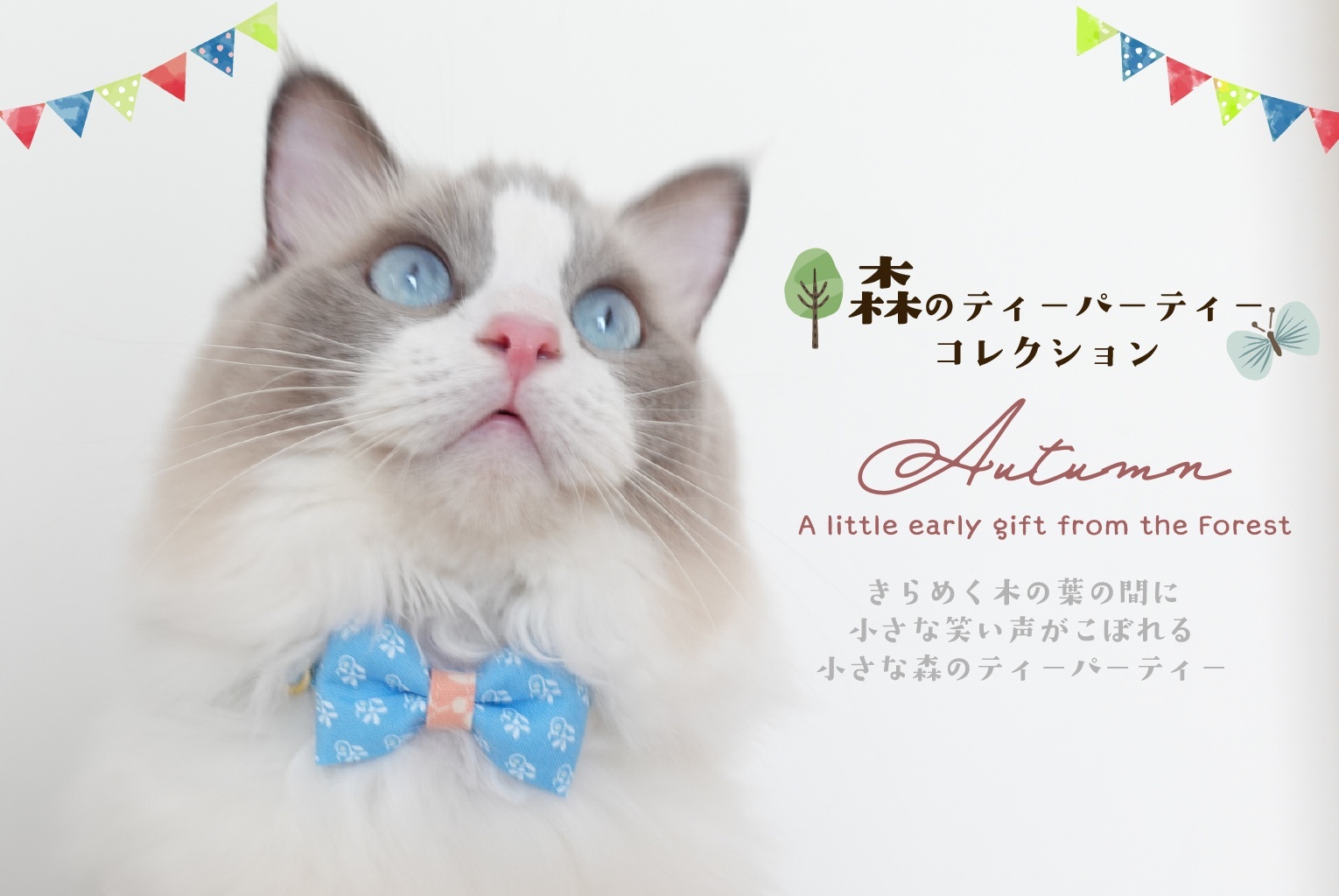 🌳猫たちの秘密の森へようこそ🌳【新作】森のティーパーティーコレクション他、新作首輪 発売のお知らせ