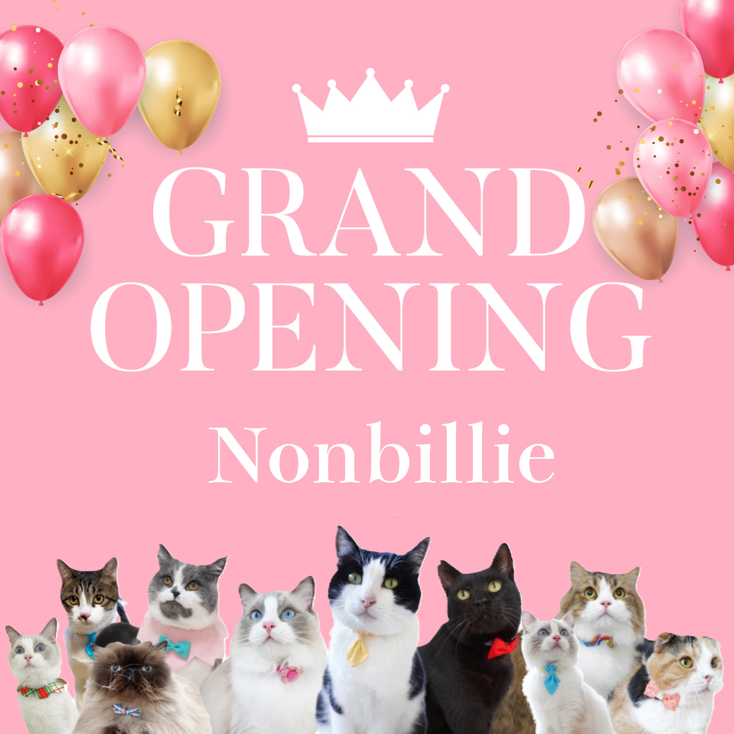 🎀リニューアル記念🎀世界にひとつの首輪が登場+限定プレゼント🎁