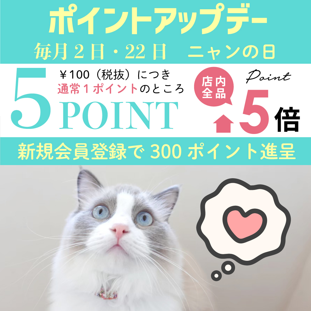 通常営業スタート&ポイント5倍デー✨