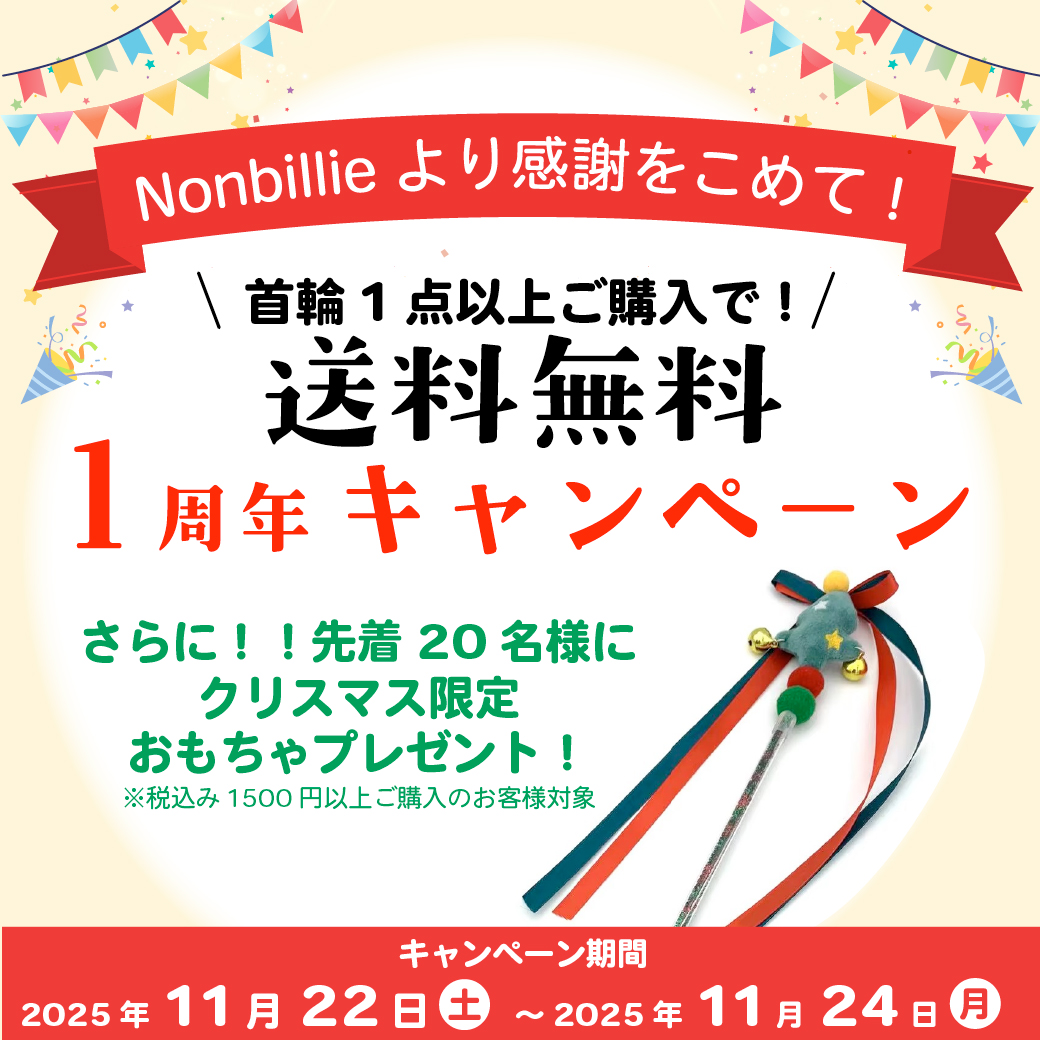 【Nonbillie 1周年🎉】ワクワク満載の記念キャンペーン＆新作発売のお知らせ✨