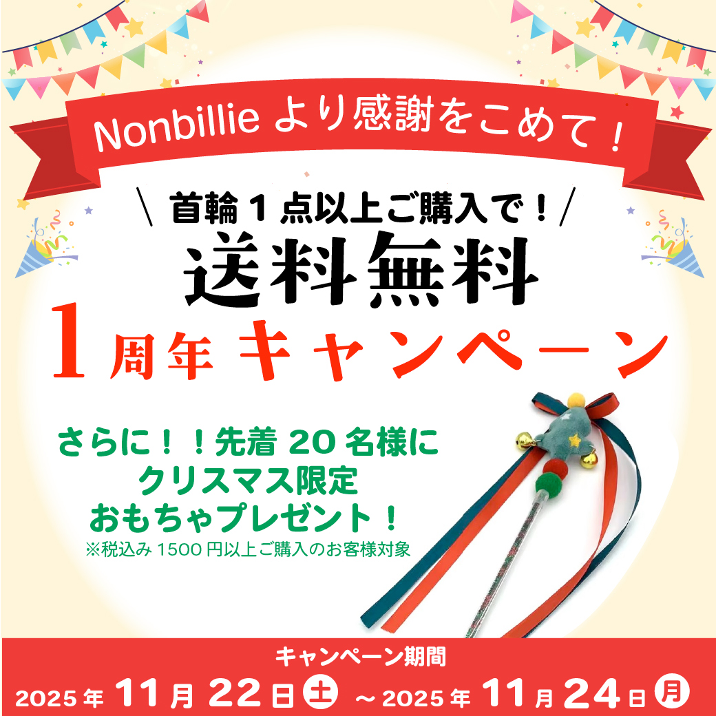 【Nonbillie 1周年🎉】ワクワク満載の記念キャンペーン＆新作発売のお知らせ✨