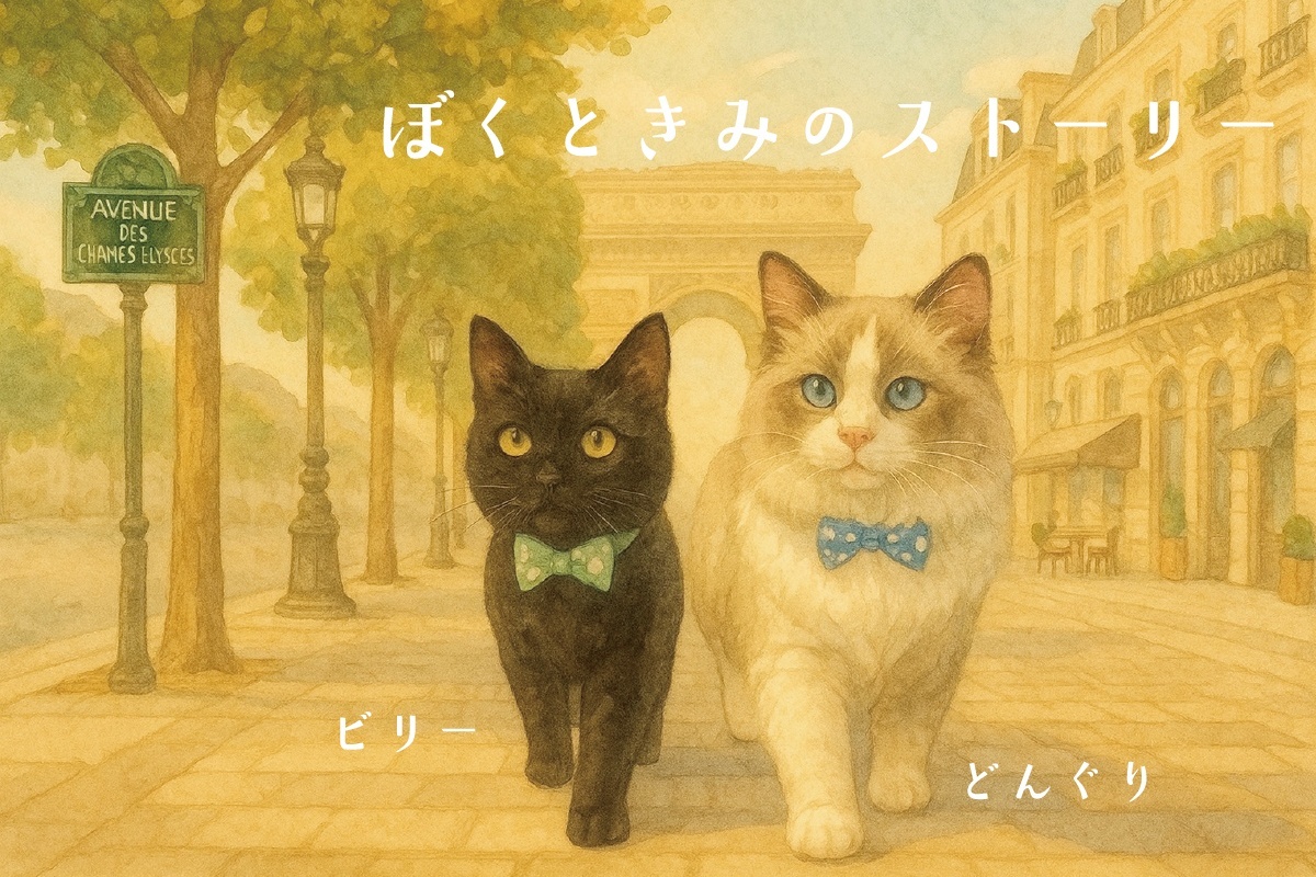 Nonbille“物語コレクション”