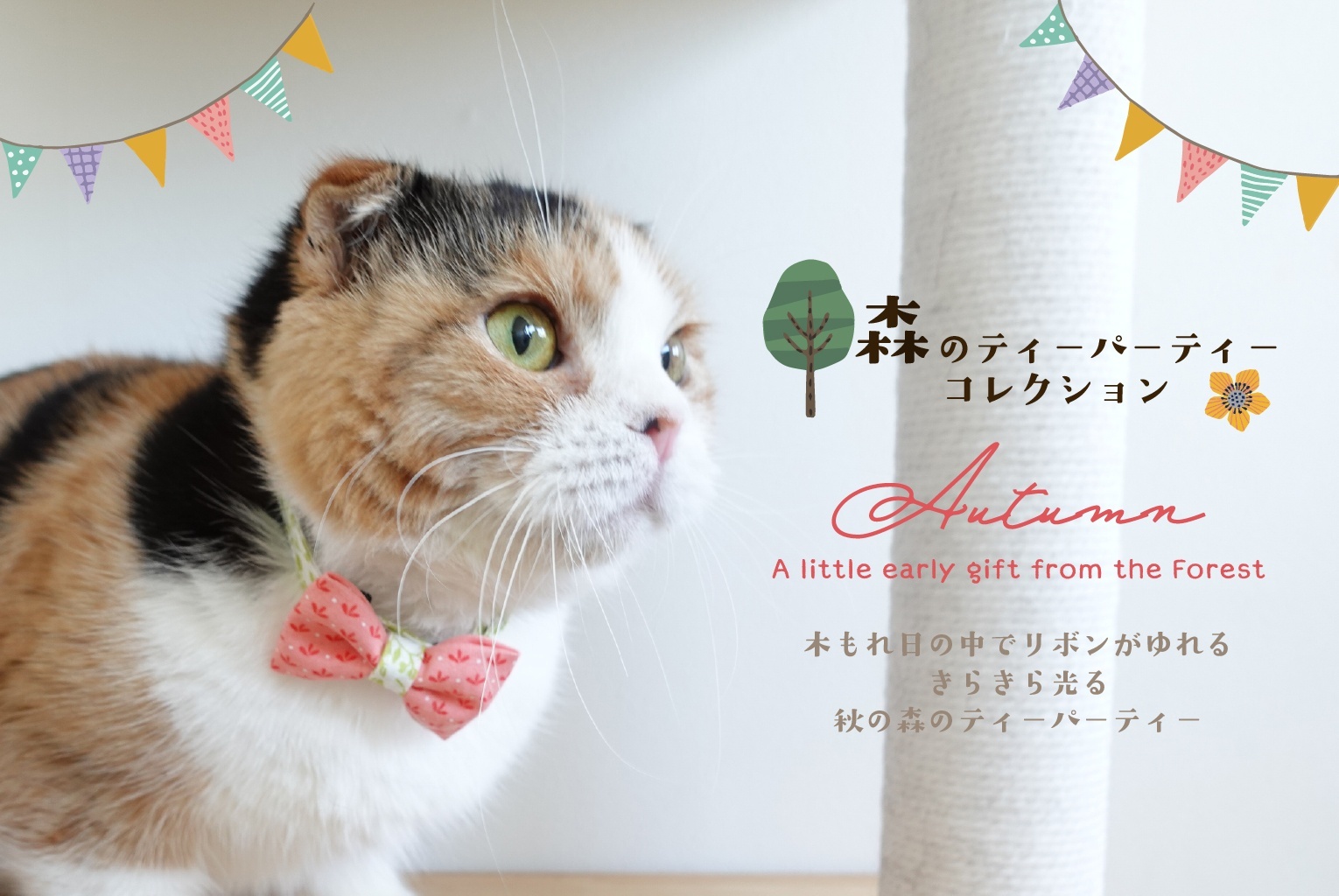 モデル🌻ひまわり