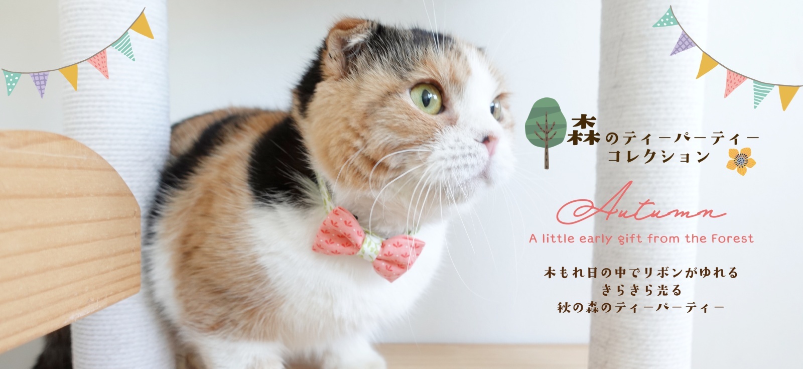 モデル🌻ひまわり モデル🌻ひまわり