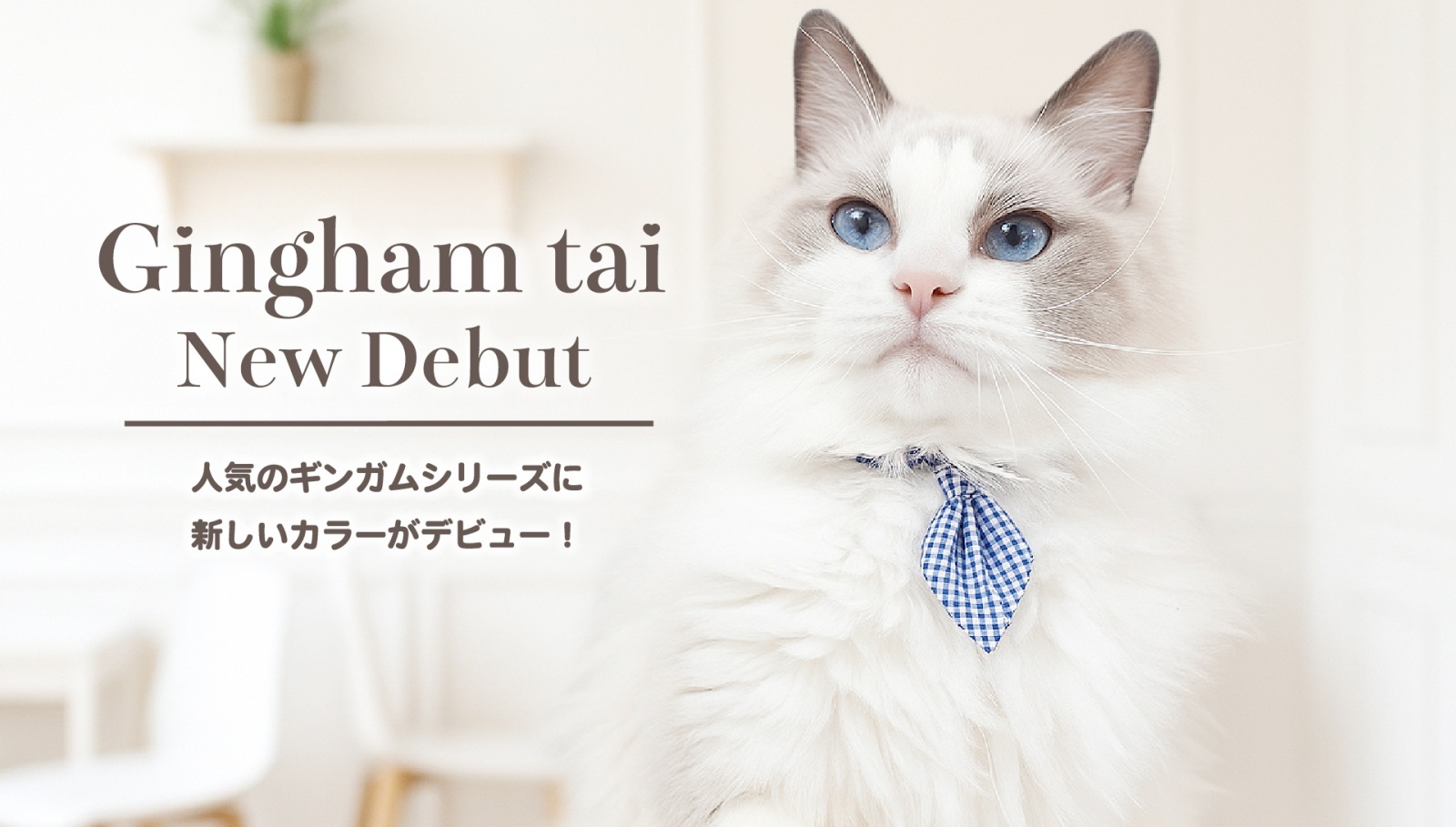 新作カラー・ギンガムチェックネクタイ
