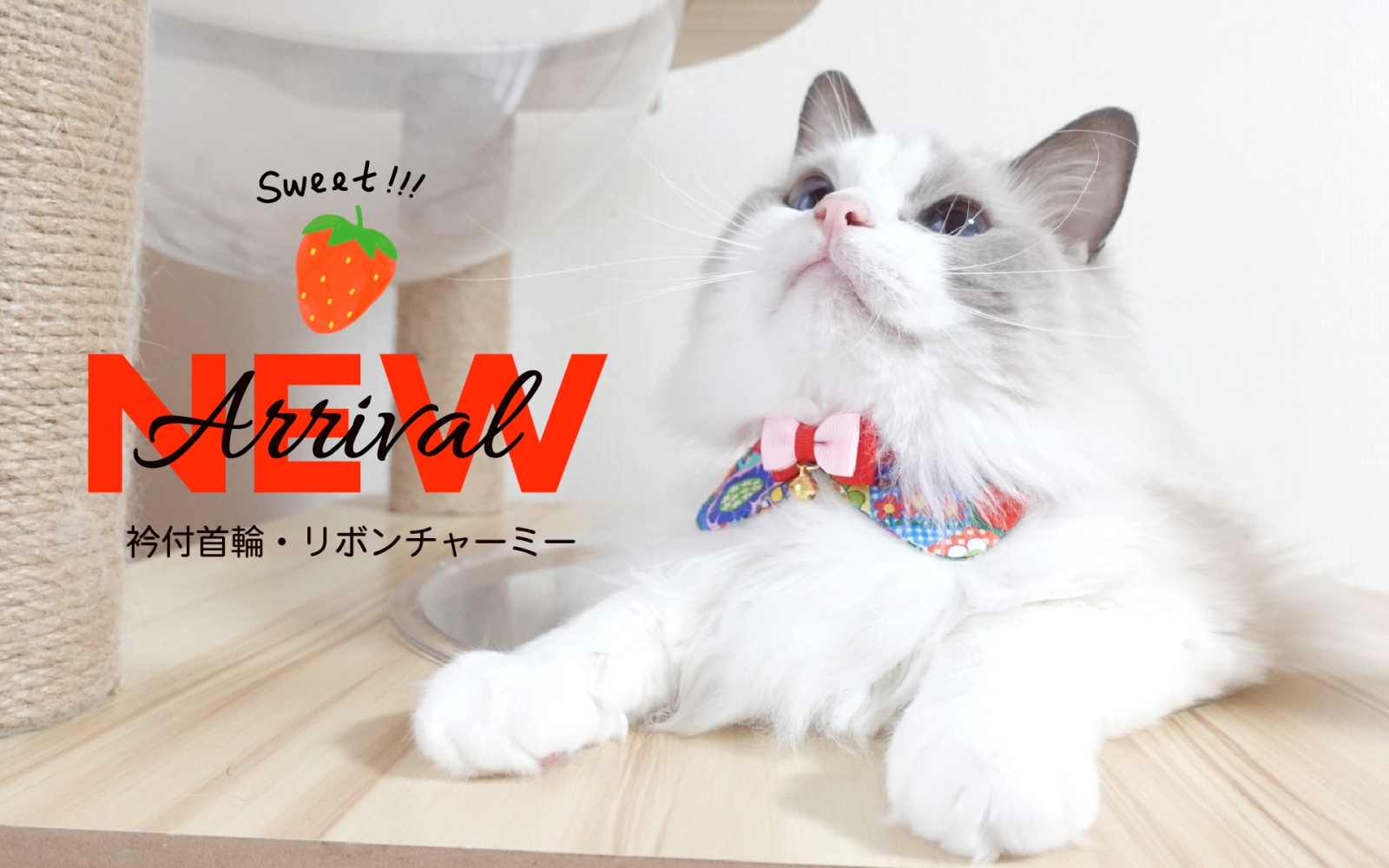 リボンチャーミー