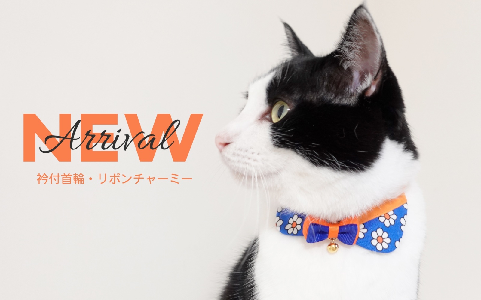 リボンチャーミー