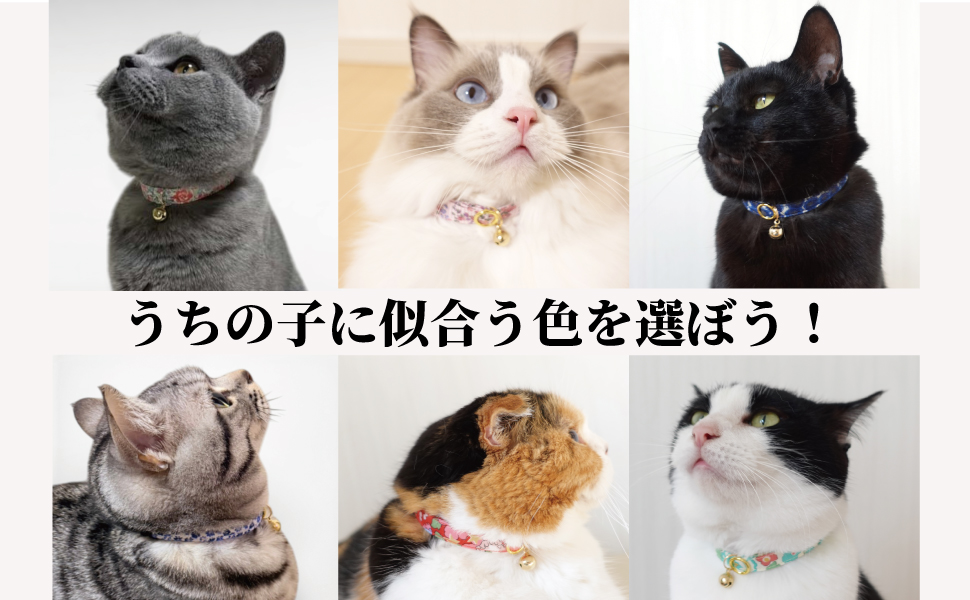 Amazonストア限定クーポン