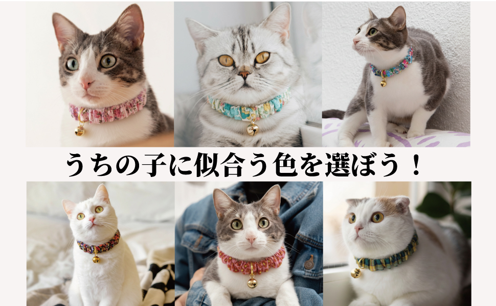 Amazonストア限定カラー