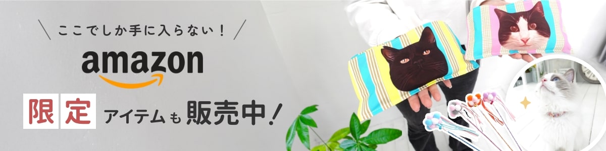 amazon限定アイテム販売中！