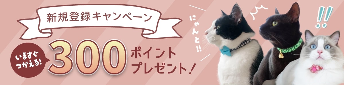 新規登録キャンペーン！300ポイントプレゼント