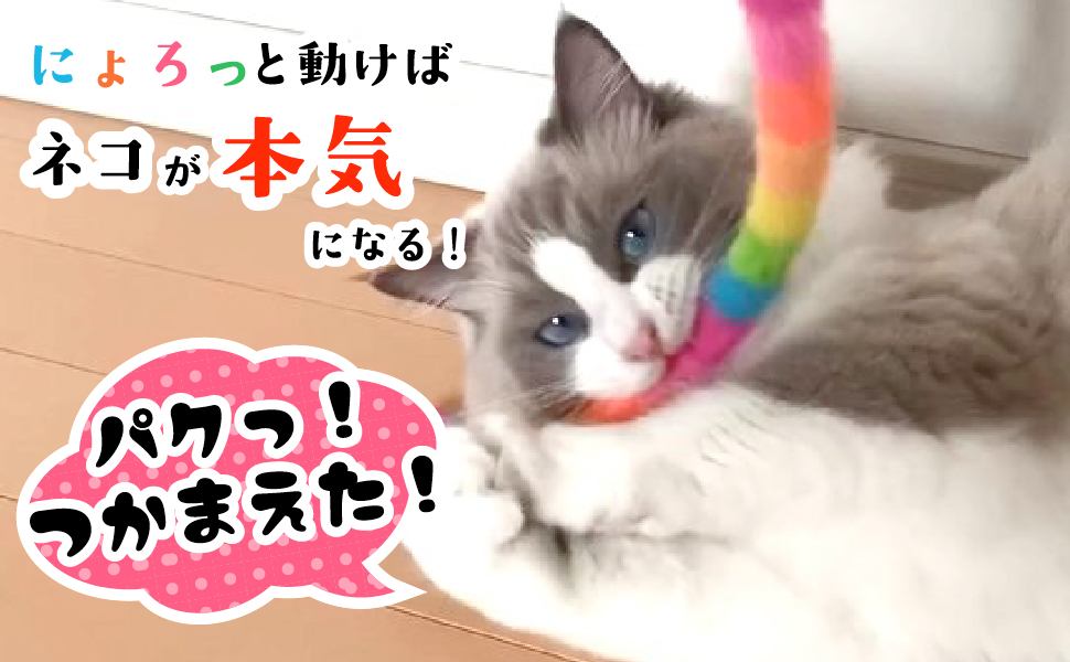 画像2: 【レインボー猫じゃらし】 にょろにょろロッド カラフル ふわふわ毛付き 可愛い猫おもちゃ 運動不足＆ストレス解消 猫との絆を深める 癒し時間 Nonbillie (2)